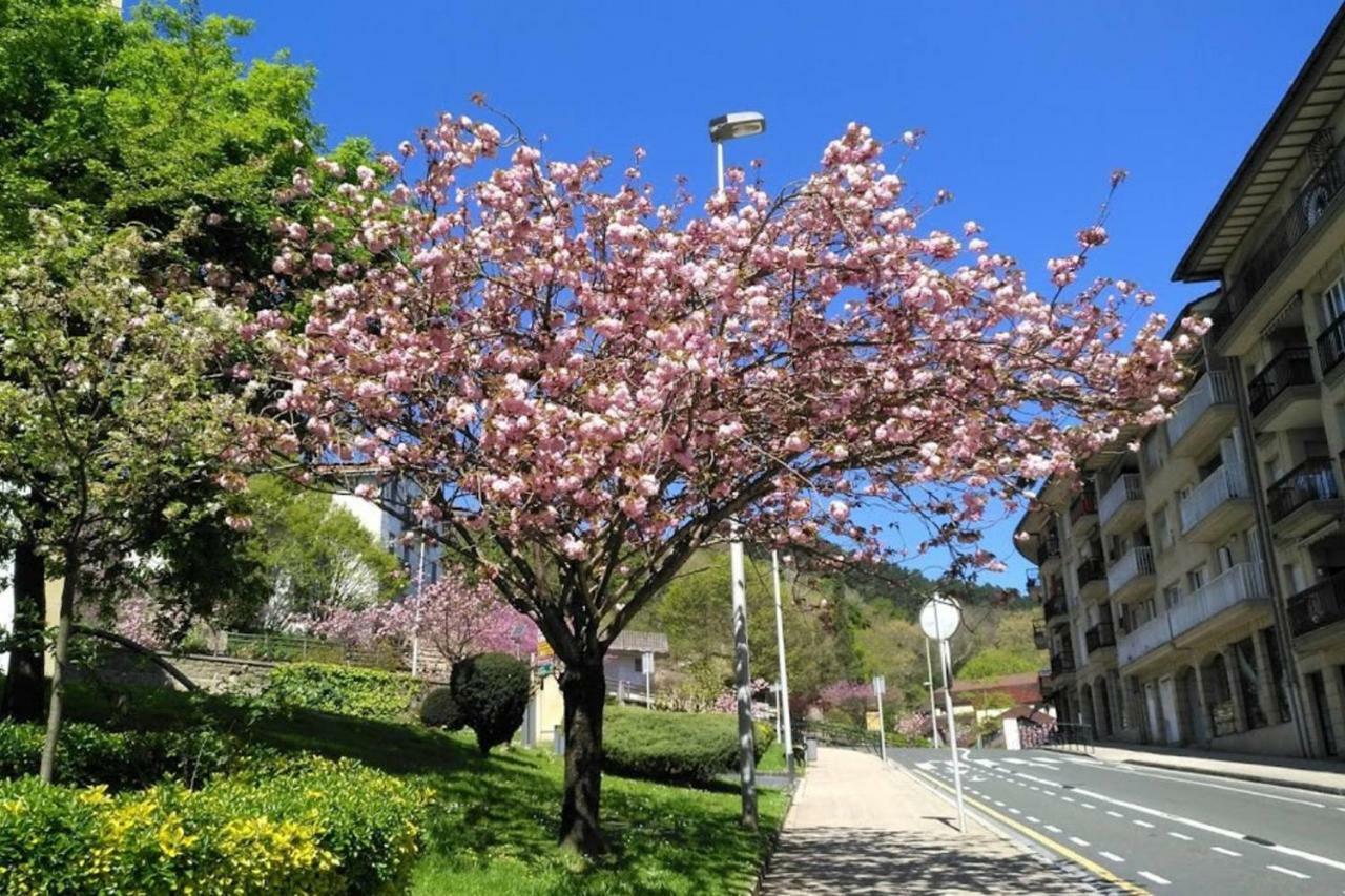 Kaixo Museum Con Parking Gratis Διαμέρισμα Zarautz Εξωτερικό φωτογραφία